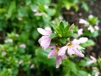 20210803_115705.jpg