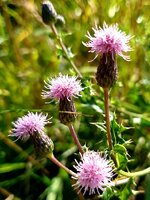 20210812_210534.jpg