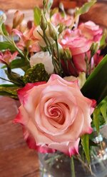 IMG_20210811_154917.jpg
