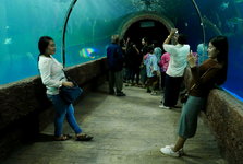 Nong Khai Aquarium 3.JPG