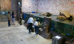 Nong Khai Aquarium 6.JPG