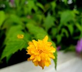 20210807_121934.jpg