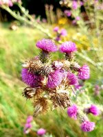20210813_115007.jpg