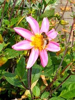 20210807_122603.jpg