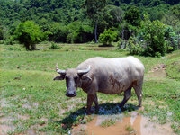 l281207.jpg l281207.jpg