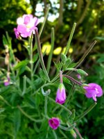 20210812_210015.jpg