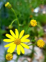 20210812_210619.jpg