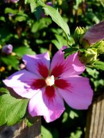 20210909_120934.jpg