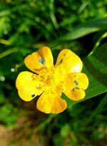 20210913_115153.jpg