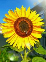 20210909_121534.jpg