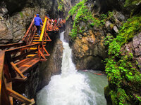 IMG-20210606-095247-2.jpg