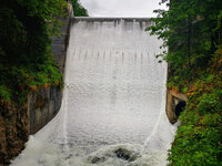IMG-20210606-100405-3.jpg