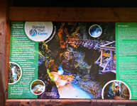 IMG-20210606-100413-2.jpg