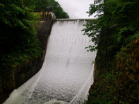 IMG-20210606-100429.jpg