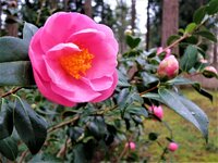 IMG_2590.JPG