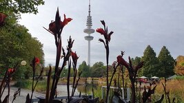18.10.21 Hamburg  (99).jpg