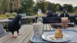 18.10.21 Hamburg  (108).jpg