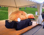 IMG_20211023_140907~2.jpg