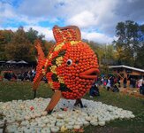 IMG_20211023_142139~2.jpg