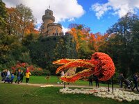 IMG_20211023_143153~2.jpg