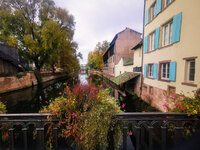 IMG-20211026-110047-2.jpg
