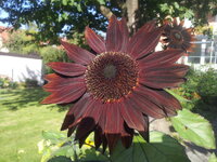 20130929_104836.jpg
