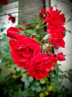 20210918_123619.jpg