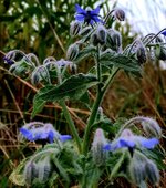 20210921_101042.jpg