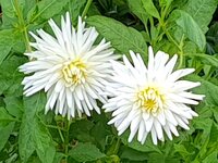 20210921_101109.jpg