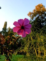 20210928_101454.jpg