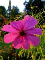 20210928_101709.jpg