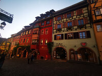 IMG-20211025-120353.jpg