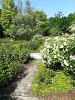 IMG_20210611_101149.jpg