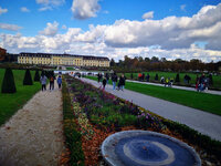 IMG-20211023-133801-3.jpg