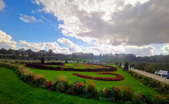 IMG-20211023-134626-3.jpg
