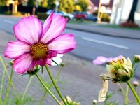 20210928_103958.jpg