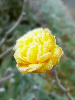 20211211_121154.jpg