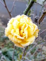 20211211_121249.jpg