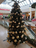 IMG-20211213-WA0008.jpg