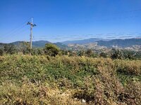 IMG_25641207_110815.jpg
