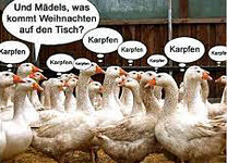 gans.jpg