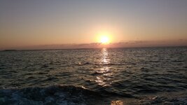 IMG_20180923_184227.jpg