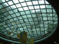 DSCF0297.JPG
