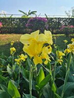 20220113_155253.jpg
