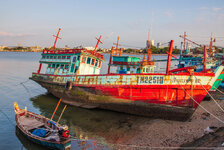 IMG_4478.jpg