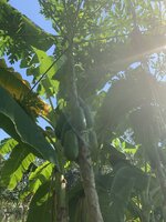IMG_6895.JPG
