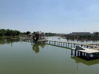 IMG_6976.JPG