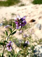 20220127_145445.jpg