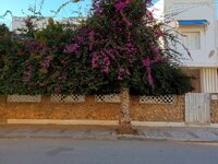 20220125_151431.jpg