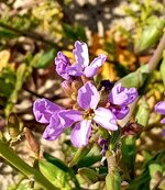 20220127_144652.jpg